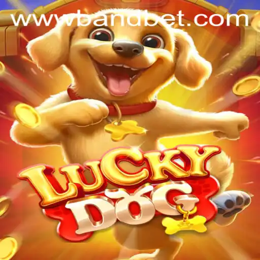 Unveiling LuckyDog: A Thrilling New Game with the Band Bet Twist